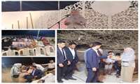 برگزاری مراسم عروسی دسته‌جمعی ۲۵ زوج جوان در بندرخمیر 